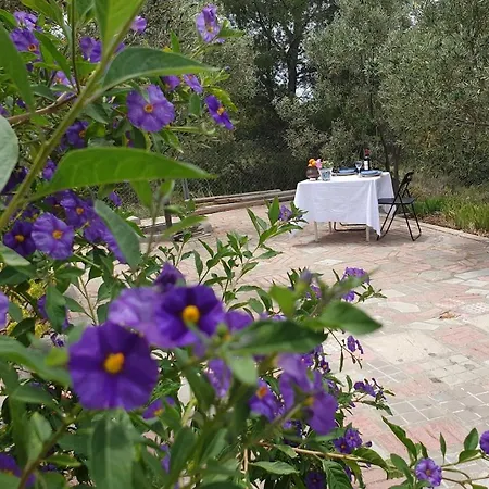 Villa Casa En La Montana Y Cerca Al Mar 1000 Mt Vallada *